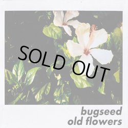 画像1: BUGSEED / OLD FLOWERS (CD-R)