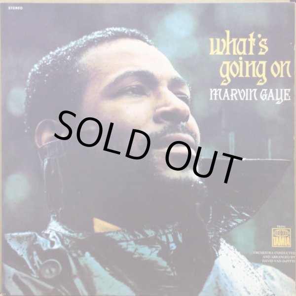 画像1: MARVIN GAYE / WHAT'S GOING ON (RE) (1)