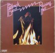 画像1: FATBACK BAND, THE / RAISING HELL (1)