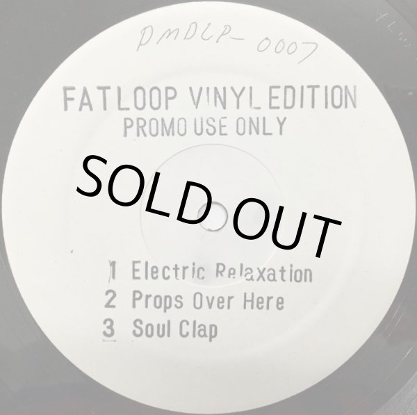 画像1: FAT LOOP / VINYL EDITION (1)