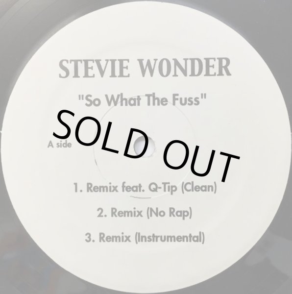 画像1: STEVIE WONDER / SO WHAT THE FUSS (BOOT) (1)