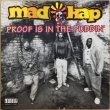 画像1: MADKAP / PROOF IS IN THE PUDDIN' (1)